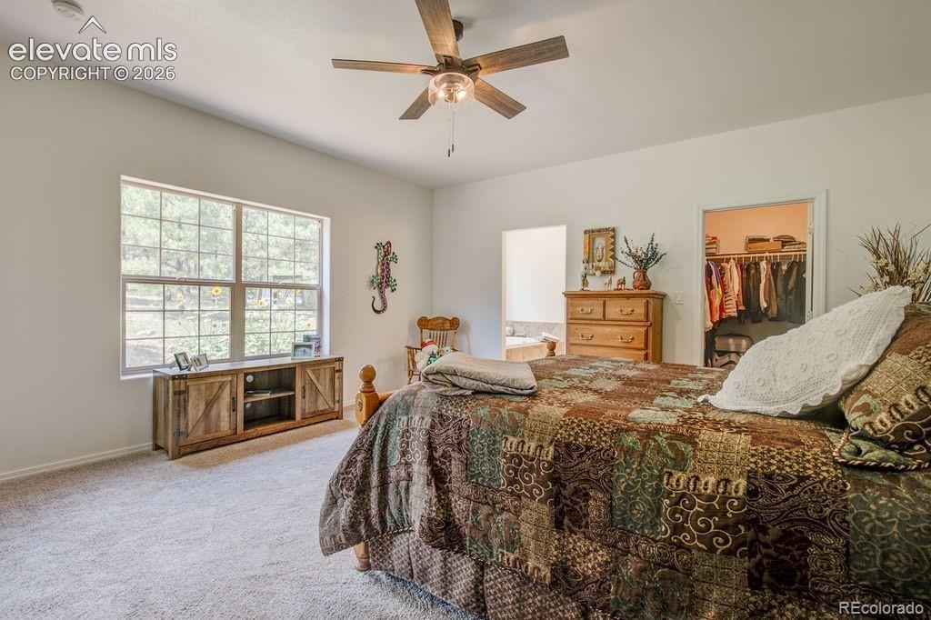 8718 Ponderosa Pine Drive Beulah CO 81023