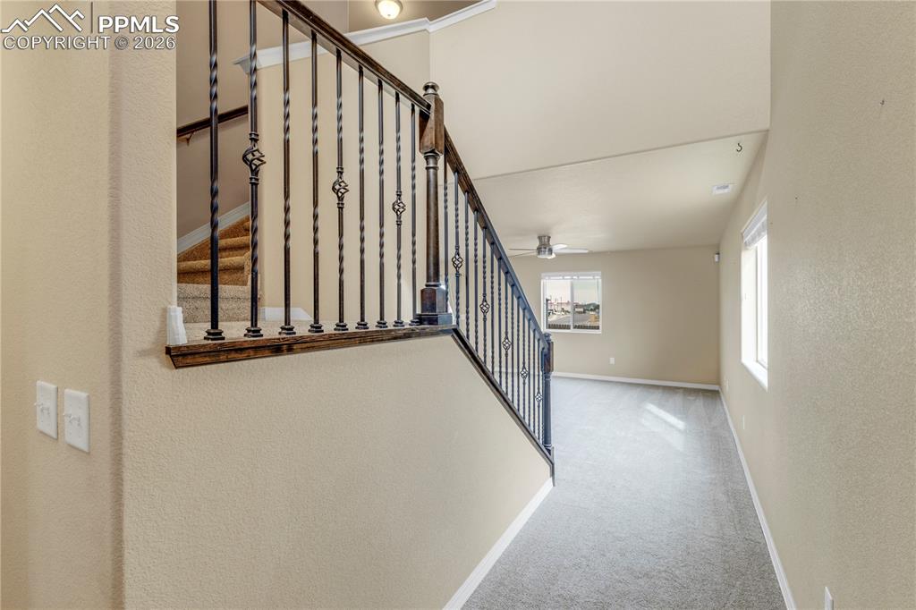 11763 Sedge Court Peyton CO 80831