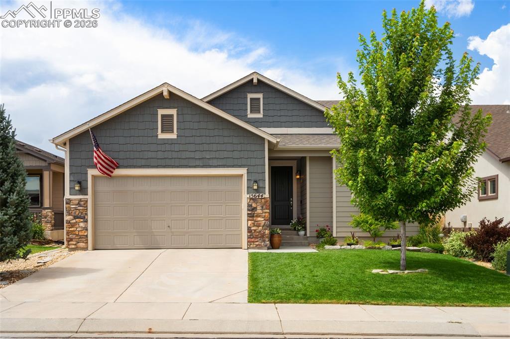 15644 Blue Pearl Court Monument CO 80132