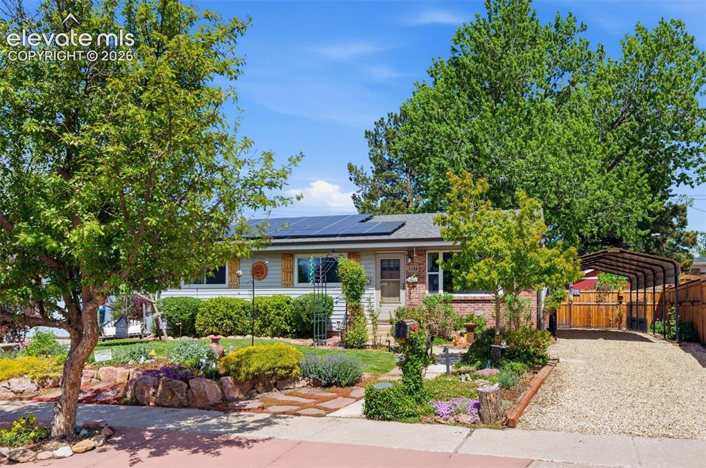 3120 Brady Boulevard Colorado Springs CO 80909