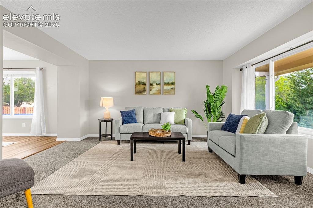 2650 Helmsdale Drive Colorado Springs CO 80920