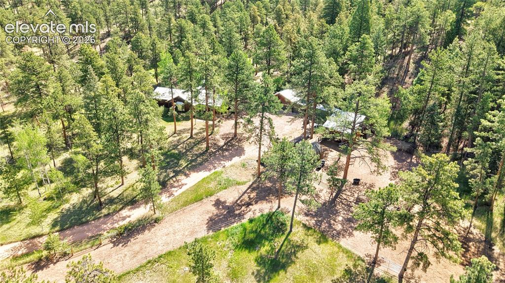 8285 Packard Lane Green Mountain Falls CO 80819
