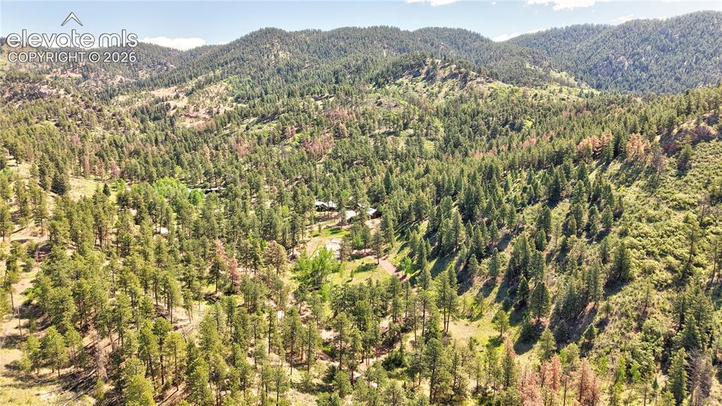 8285 Packard Lane Green Mountain Falls CO 80819