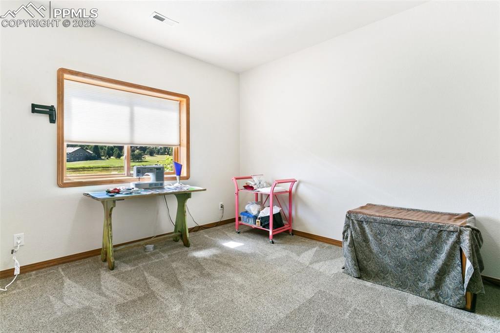 870 Trumpeters Court Monument CO 80132