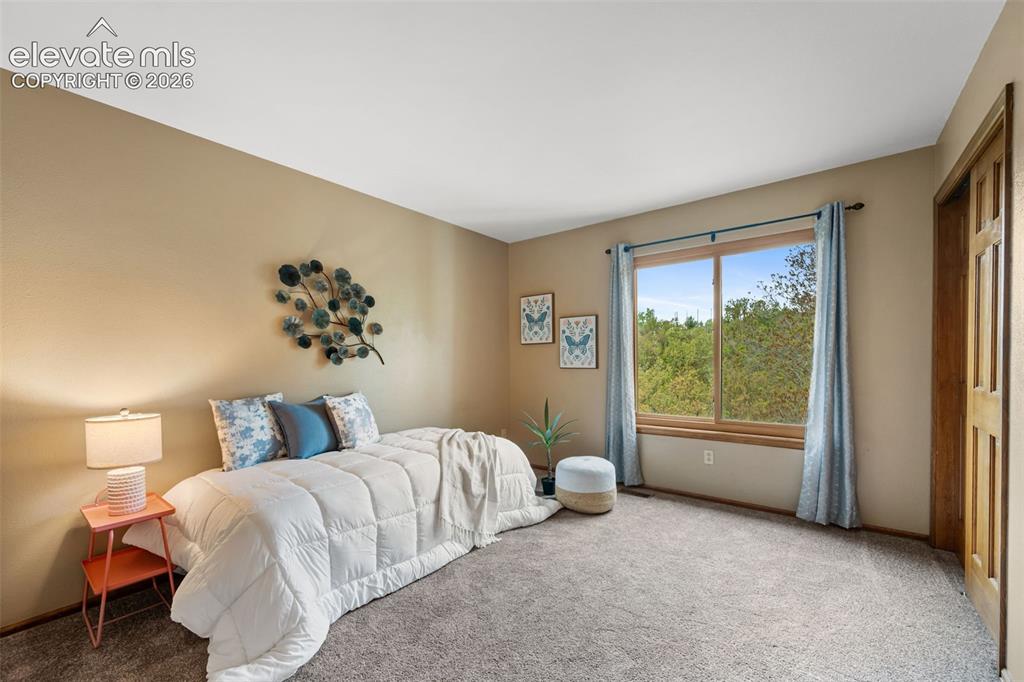 4530 Churchill Court Colorado Springs CO 80906
