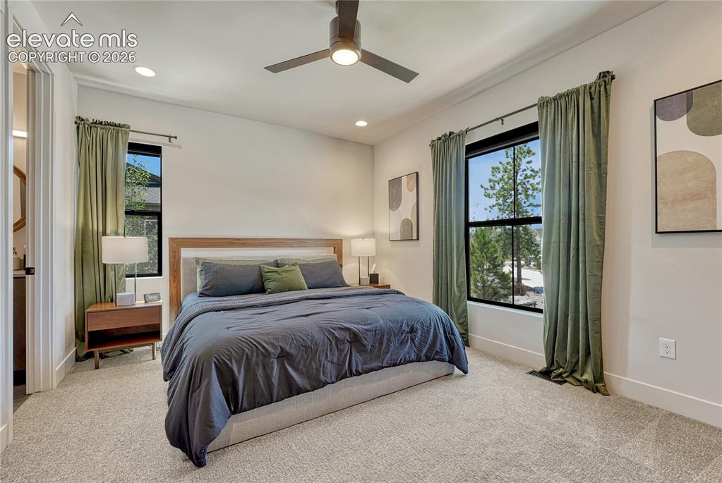 16356 Treetop Glory Court Monument CO 80132