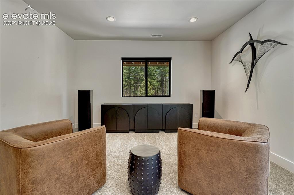 16356 Treetop Glory Court Monument CO 80132