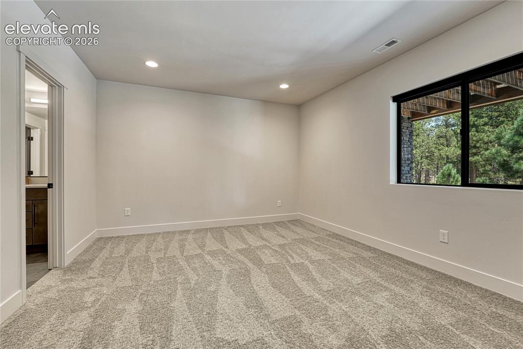 16356 Treetop Glory Court Monument CO 80132