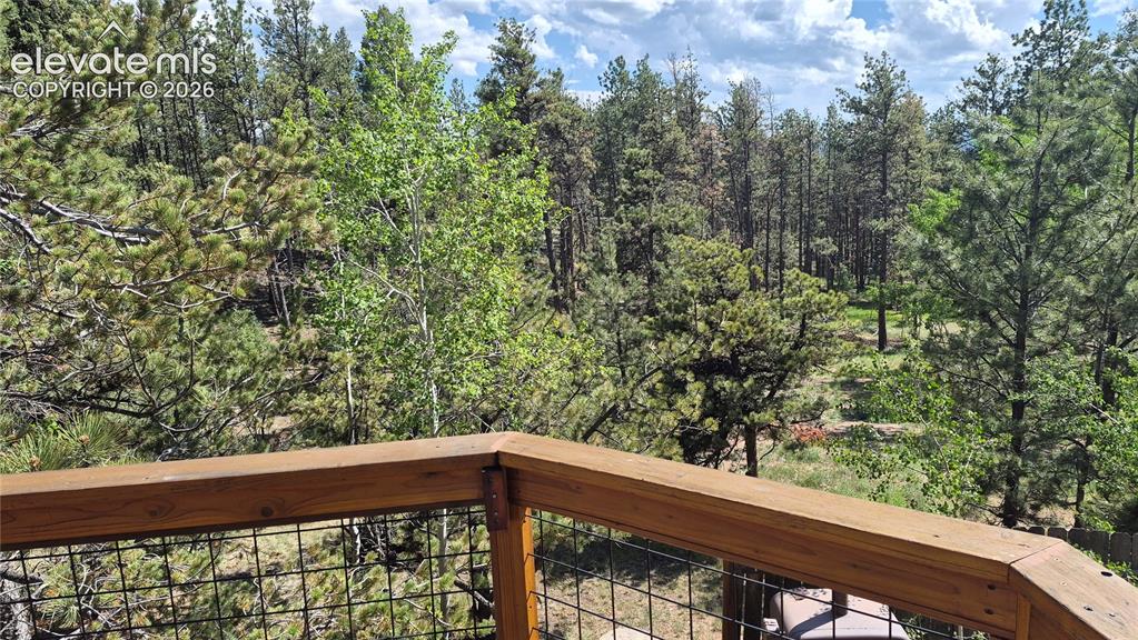 276 Oxford Place Florissant CO 80816