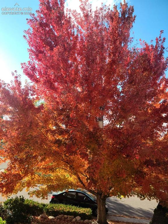 6365 Shirecliff Drive Colorado Springs CO 80918