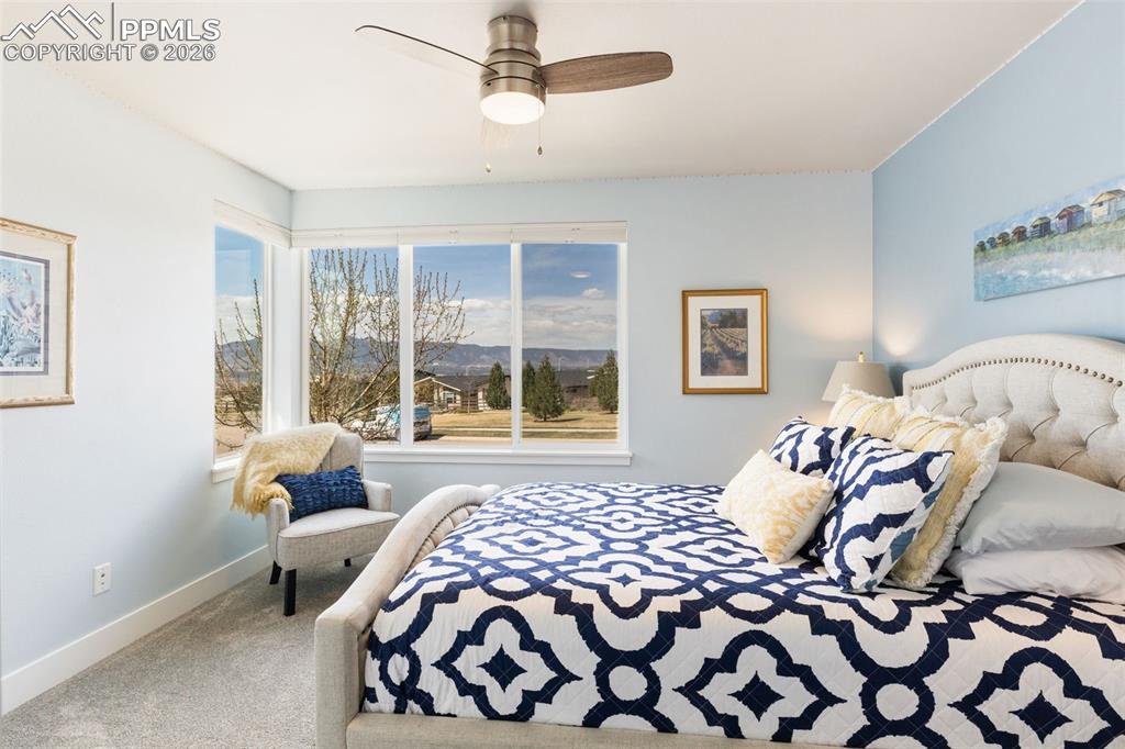 3769 Hermosa Creek Court Colorado Springs CO 80924