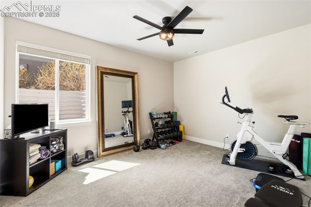 3769 Hermosa Creek Court Colorado Springs CO 80924