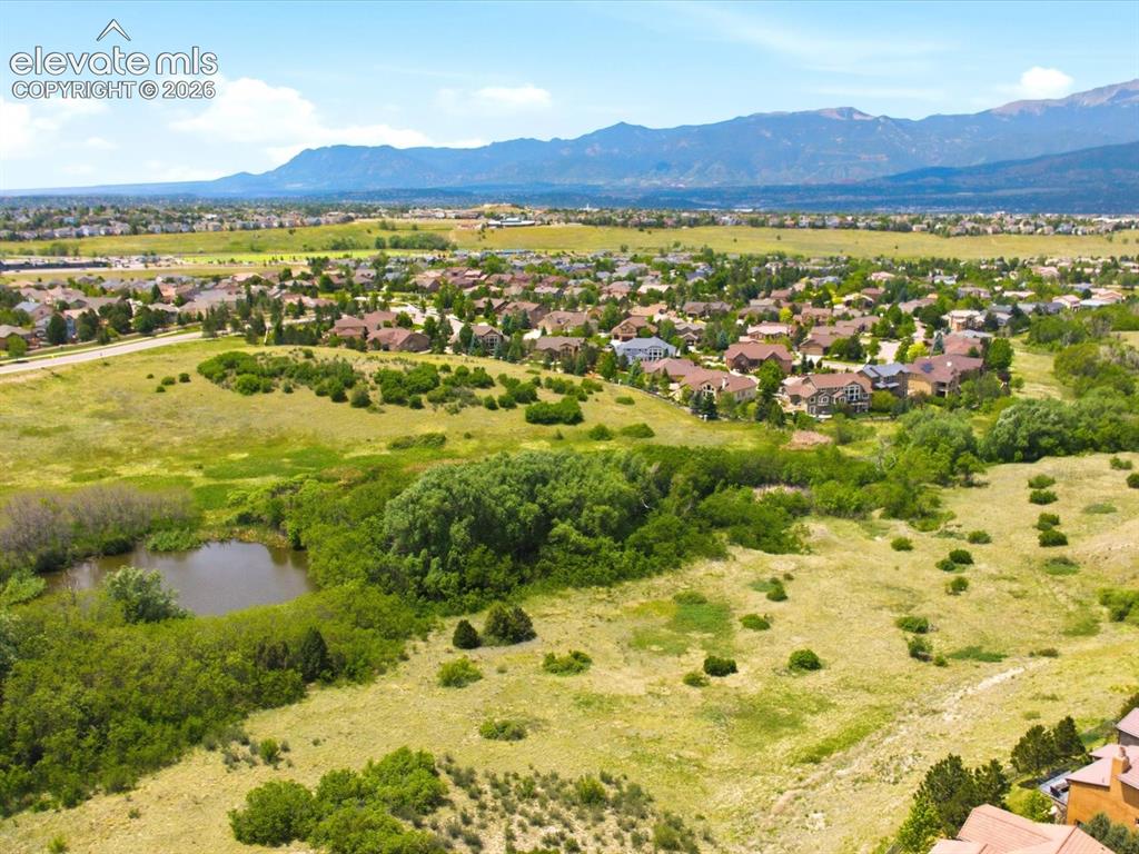9959 Rose Leaf Court Colorado Springs CO 80920