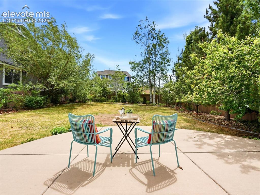 9959 Rose Leaf Court Colorado Springs CO 80920