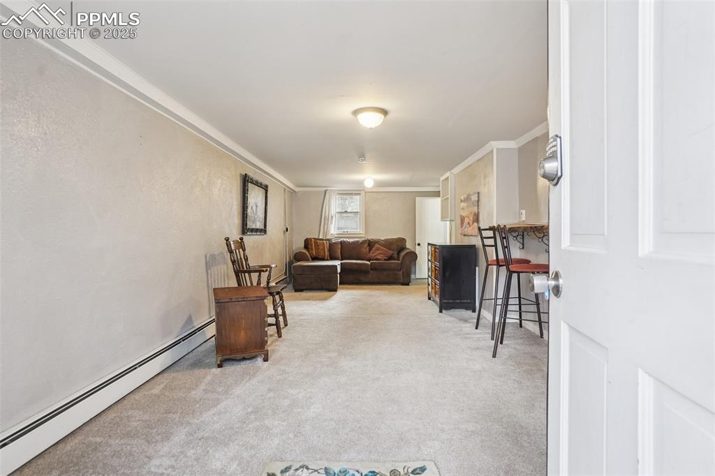 9025 Picabo Road Cascade CO 80809