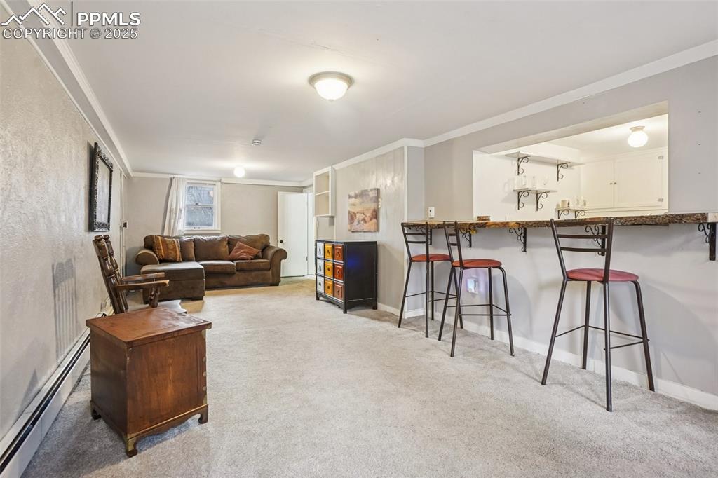 9025 Picabo Road Cascade CO 80809