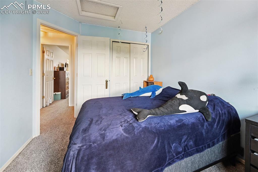 2570 Covington Place Colorado Springs CO 80918