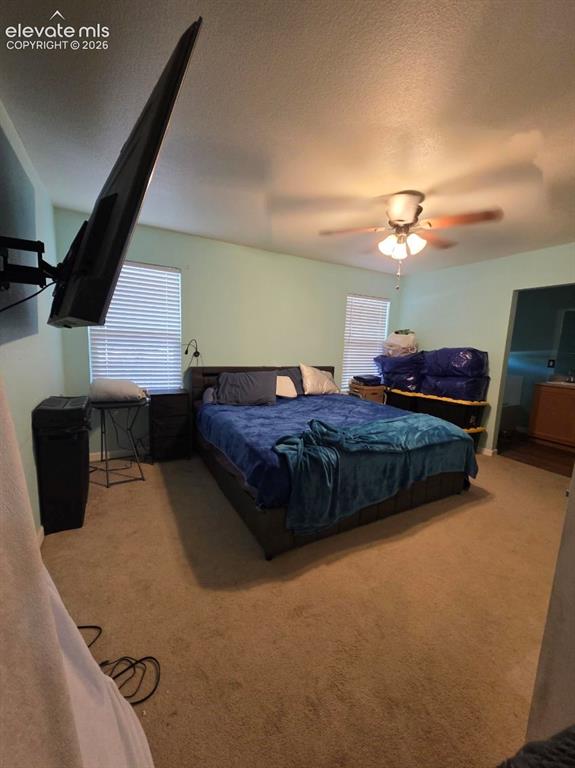 8123 Sedgewick Drive Colorado Springs CO 80925