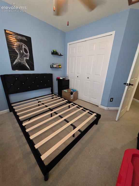 8123 Sedgewick Drive Colorado Springs CO 80925