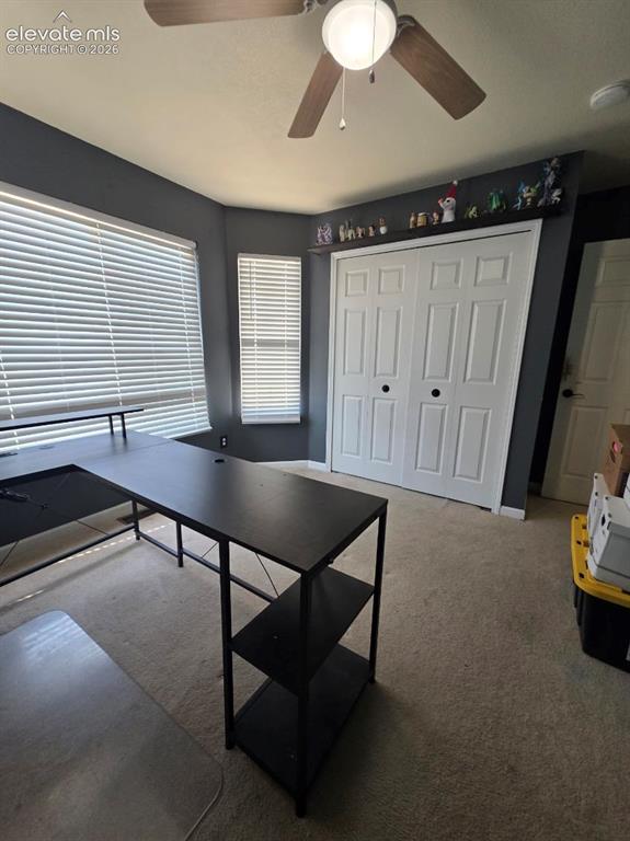 8123 Sedgewick Drive Colorado Springs CO 80925