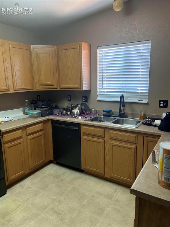 8123 Sedgewick Drive Colorado Springs CO 80925