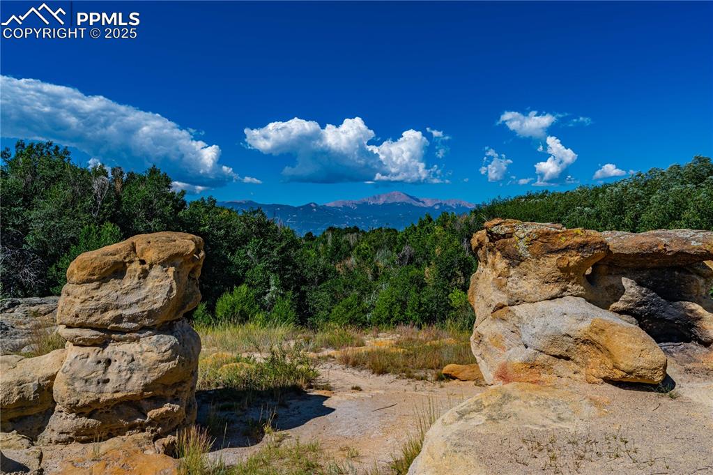 4016 Goldenrod Drive Colorado Springs CO 80918