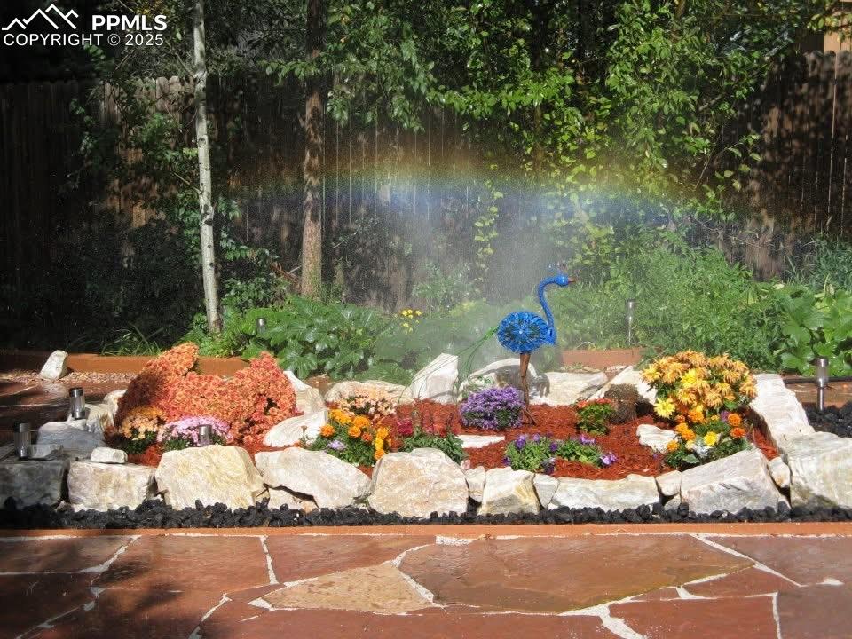 4016 Goldenrod Drive Colorado Springs CO 80918