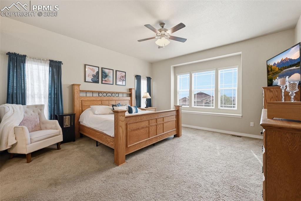 6455 Forest Thorn Court Colorado Springs CO 80927