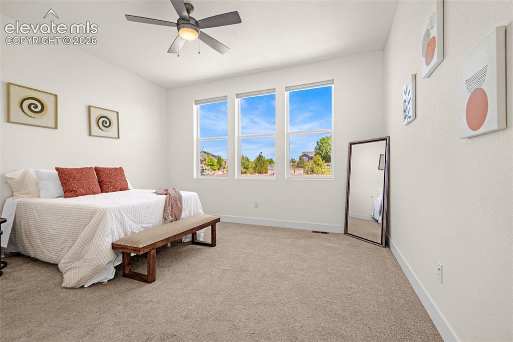 6202 Rowdy Drive Colorado Springs CO 80924