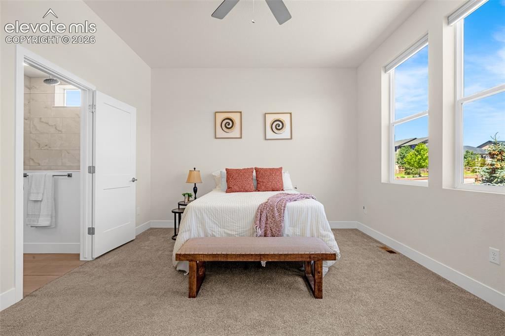 6202 Rowdy Drive Colorado Springs CO 80924