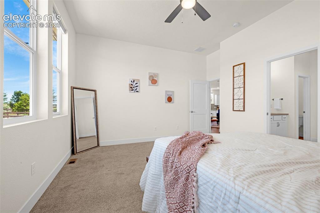 6202 Rowdy Drive Colorado Springs CO 80924