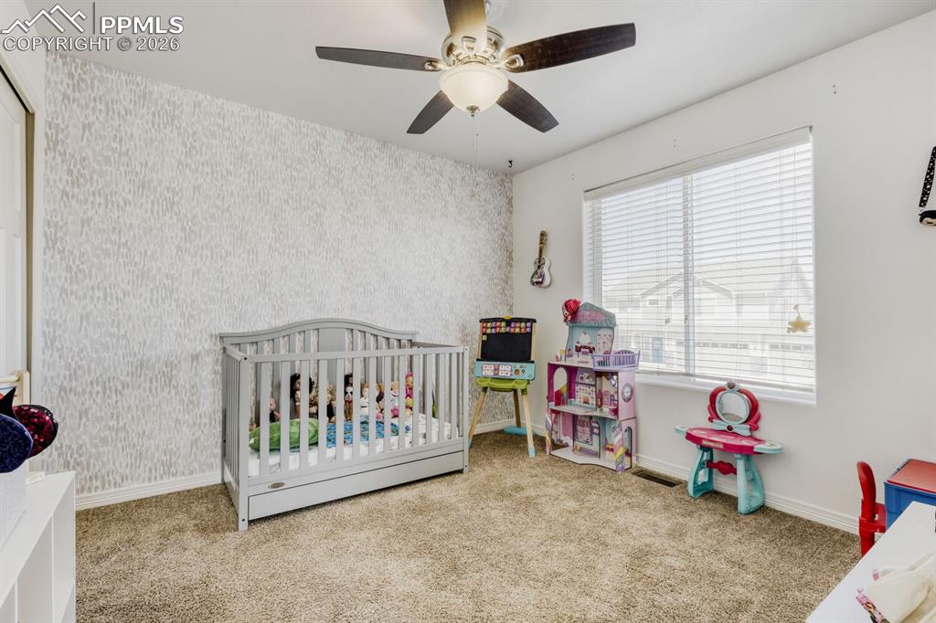 10296 Hidden Park Way Peyton CO 80831
