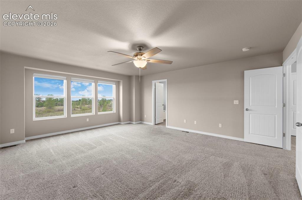7568 Cat Tail Creek Drive Colorado Springs CO 80923