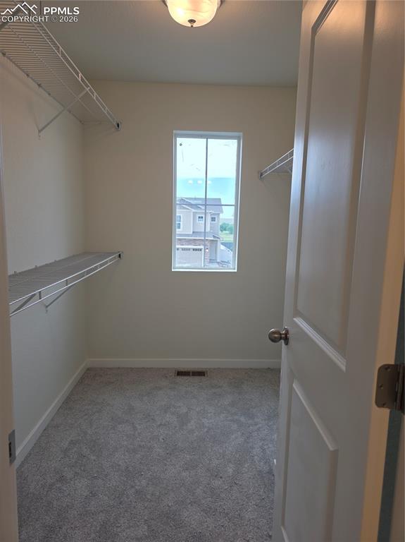 5356 Truscott Road Colorado Springs CO 80925