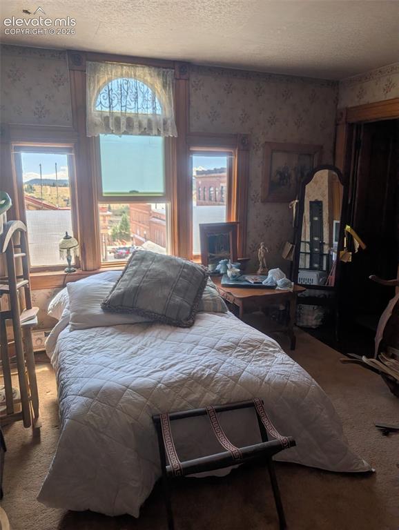 401 E Carr Avenue Cripple Creek CO 80813