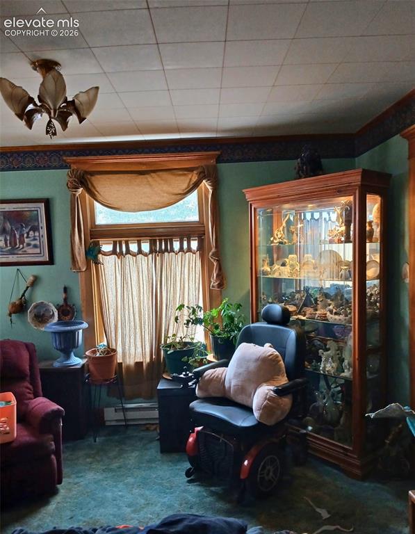 401 E Carr Avenue Cripple Creek CO 80813