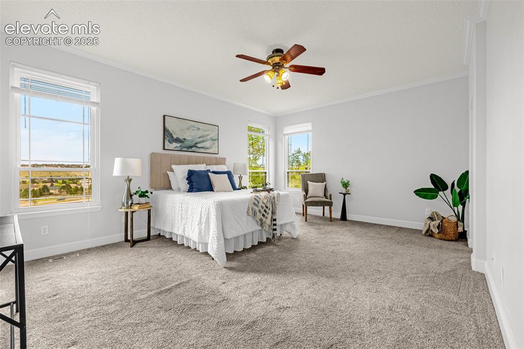 9135 Chetwood Drive Colorado Springs CO 80920