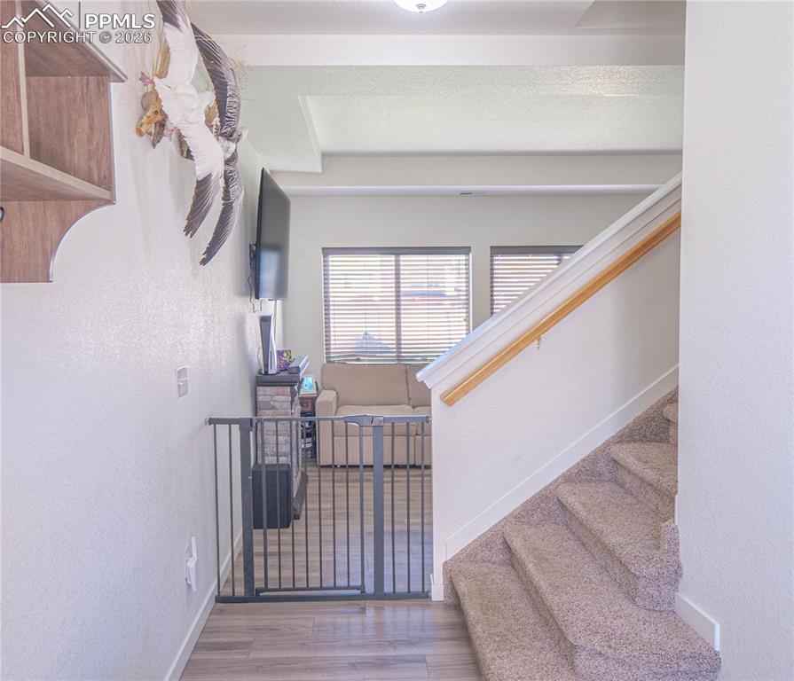 9241 Timberlake Loop Colorado Springs CO 80927