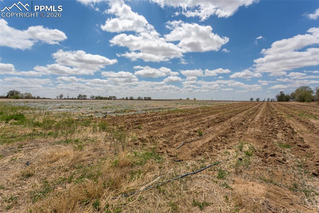 21550 Hanover Road Colorado Springs CO 80928