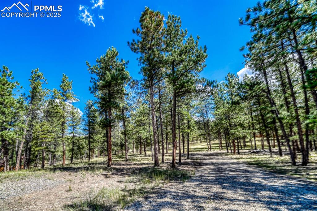 283 Gabbert Drive Westcliffe CO 81252
