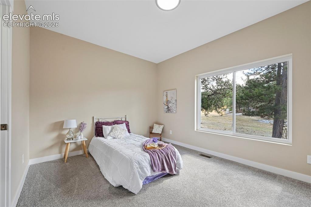 108 High Pasture Road Florissant CO 80816