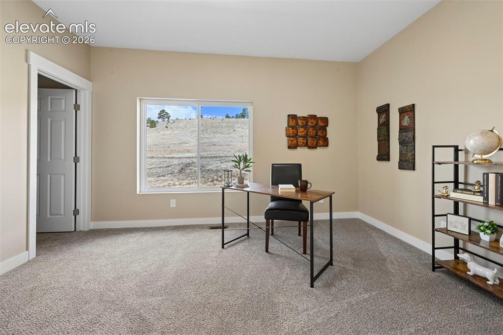 108 High Pasture Road Florissant CO 80816