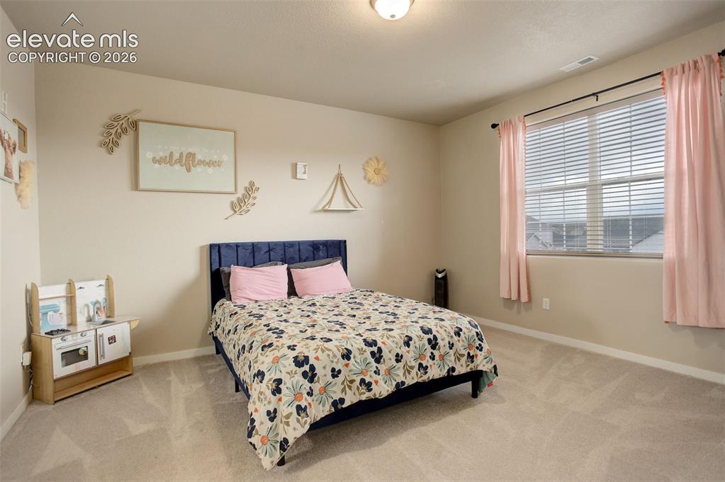 10877 Rolling Mesa Drive Peyton CO 80831