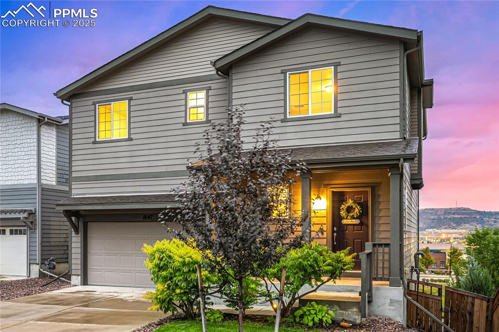 1647 Goldfield Trail Castle Rock CO 80109