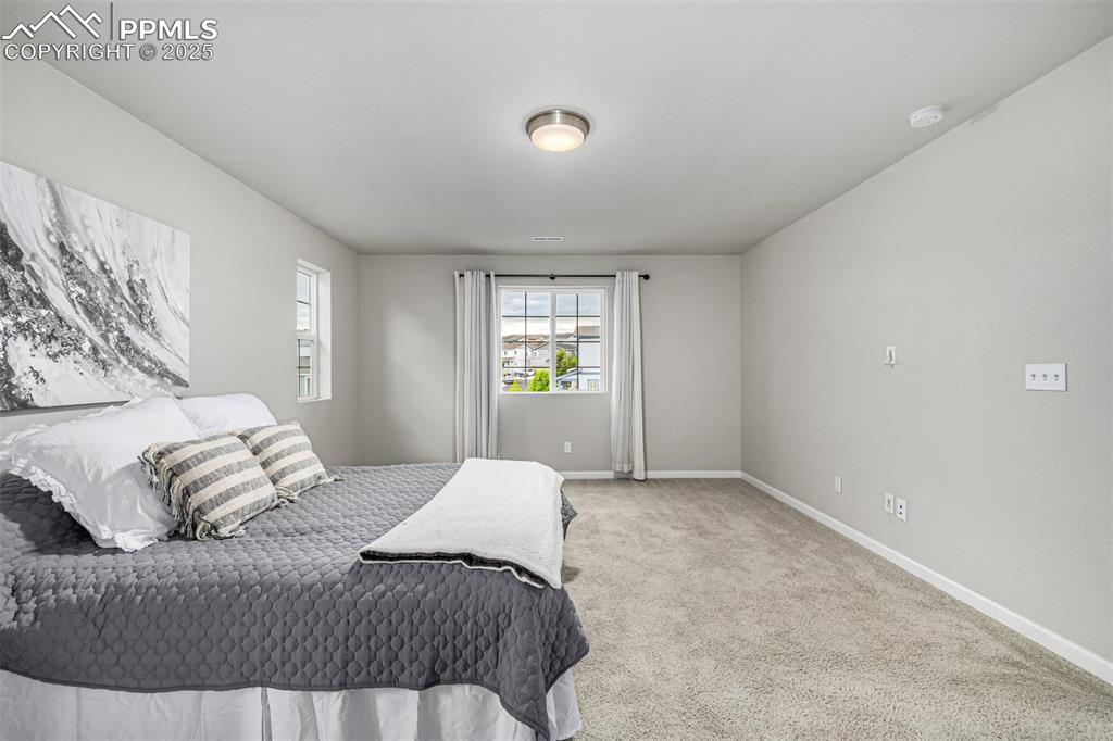 1647 Goldfield Trail Castle Rock CO 80109