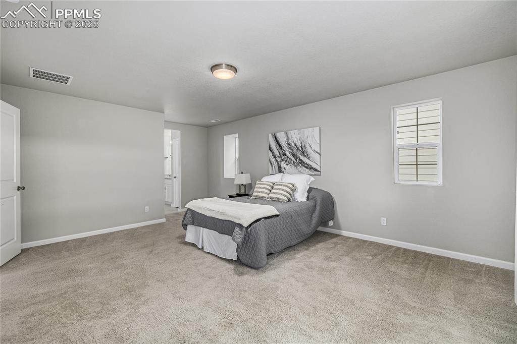 1647 Goldfield Trail Castle Rock CO 80109