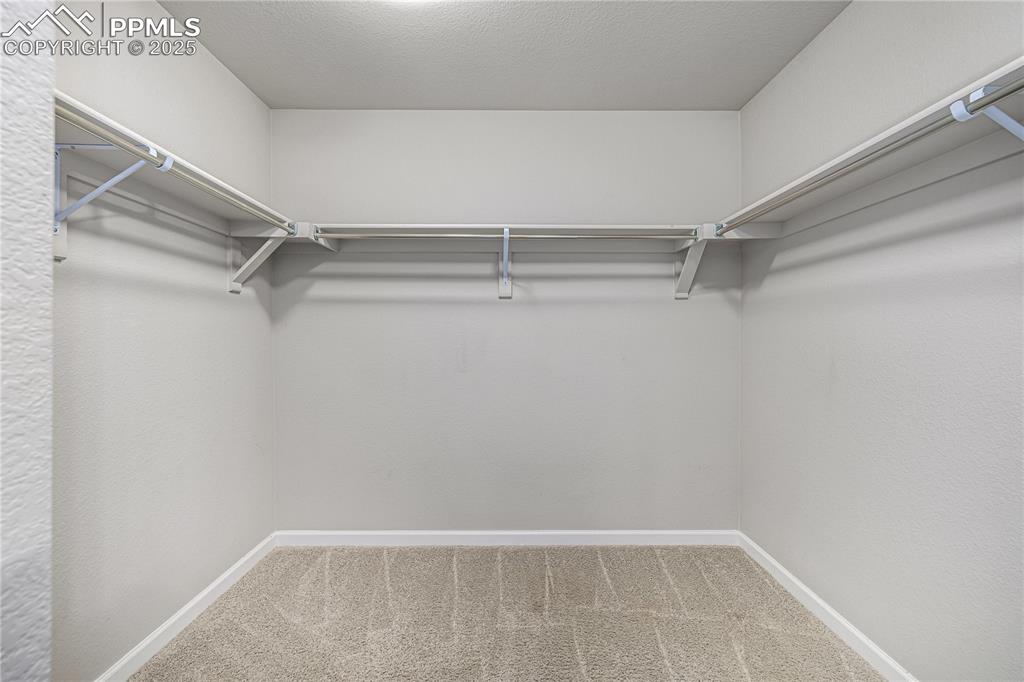 1647 Goldfield Trail Castle Rock CO 80109