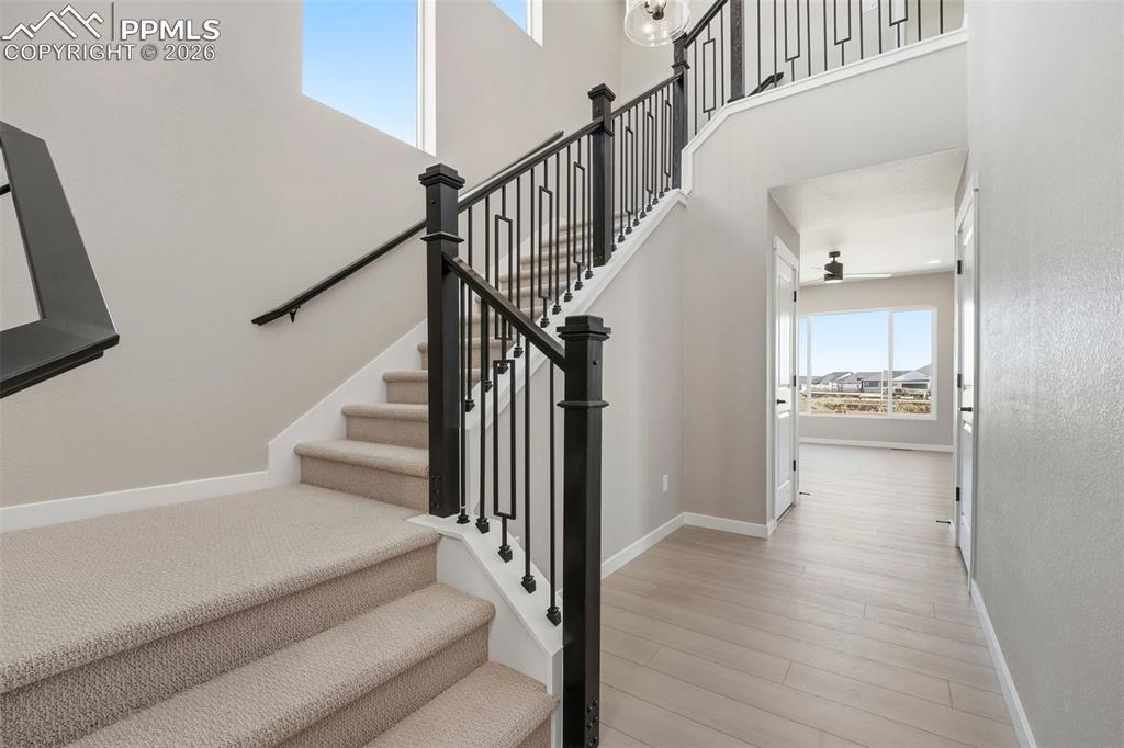 7137 Knapp Drive Colorado Springs CO 80924