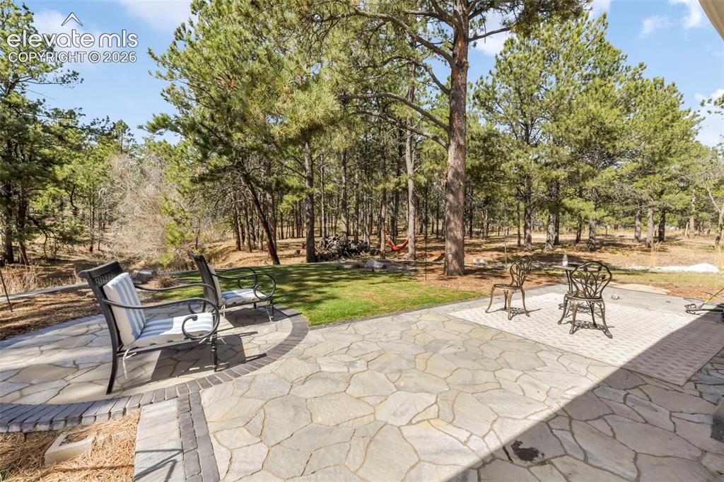 11165 Pine Meadows Road Colorado Springs CO 80908