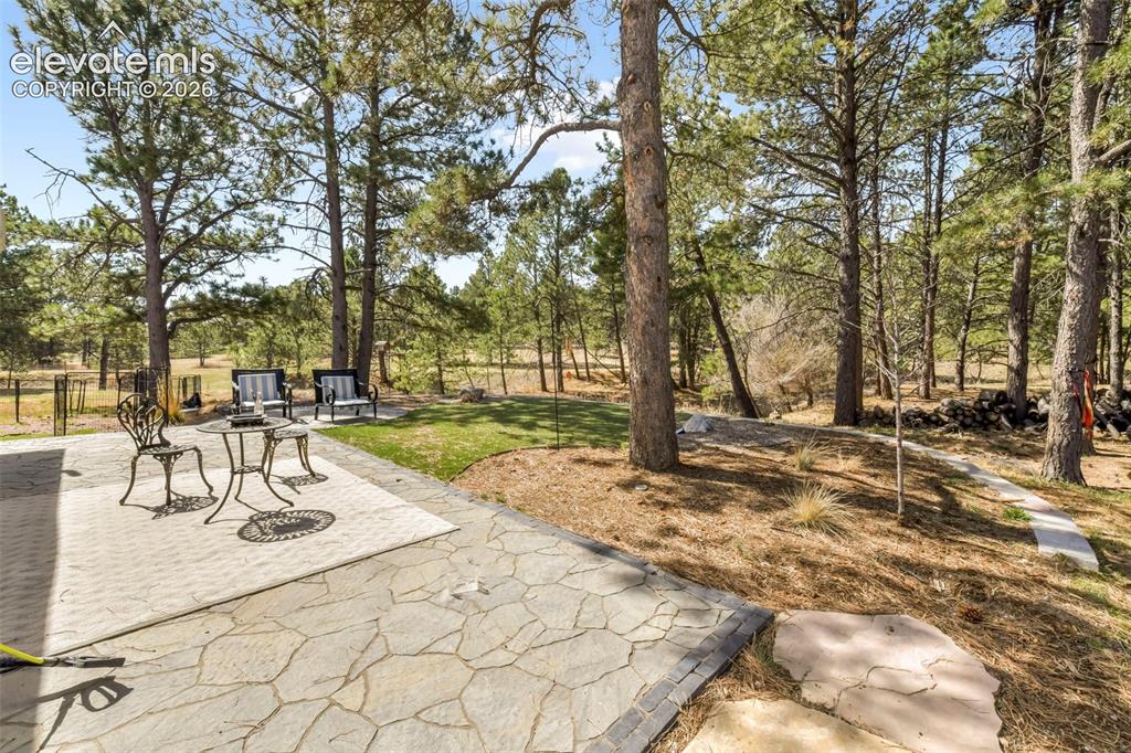 11165 Pine Meadows Road Colorado Springs CO 80908
